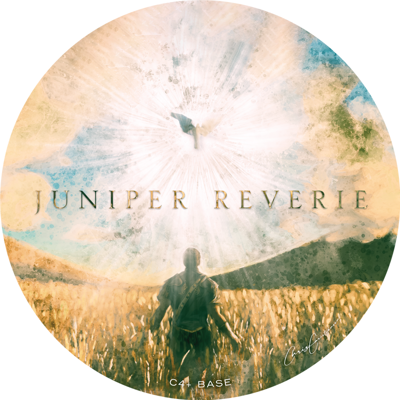Juniper Reverie Shave Soap